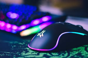 mouse