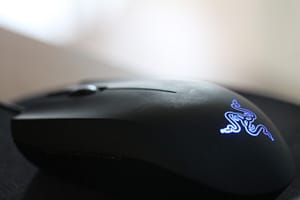 mouse